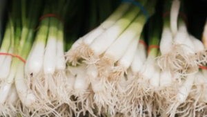 Difference Between Green Onions, Scallions, Spring Onions and Chives